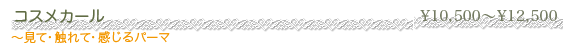 �R�X���J�[��