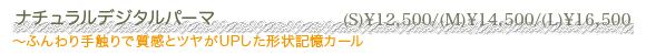 �i�`�������f�W�^���p�[�}