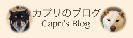 カプリのブログ