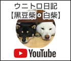 youtubeウニトロ日記【黒豆柴・白柴】